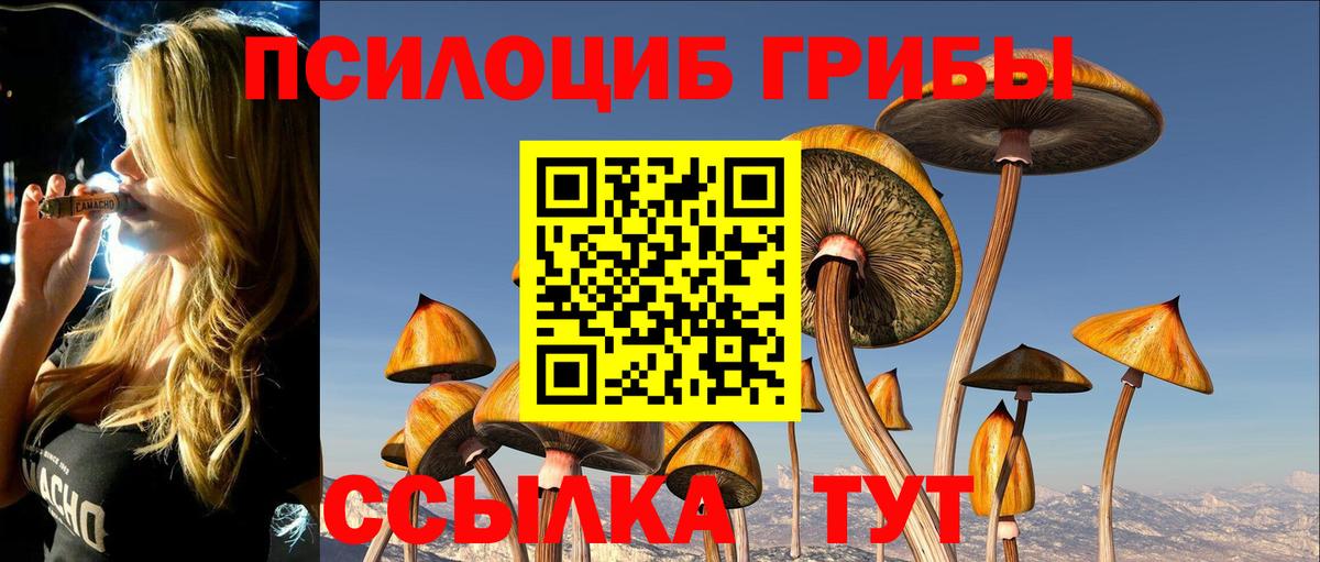 Галлюциногенные грибы Psilocybine cubensis  Вход с VPN  Пыть-Ях 